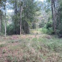 Home and Pasture Property For Sale Close to the State Line images 5