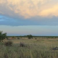 Hasler River Ranch images 2