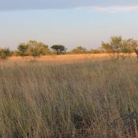 Hasler River Ranch images 5