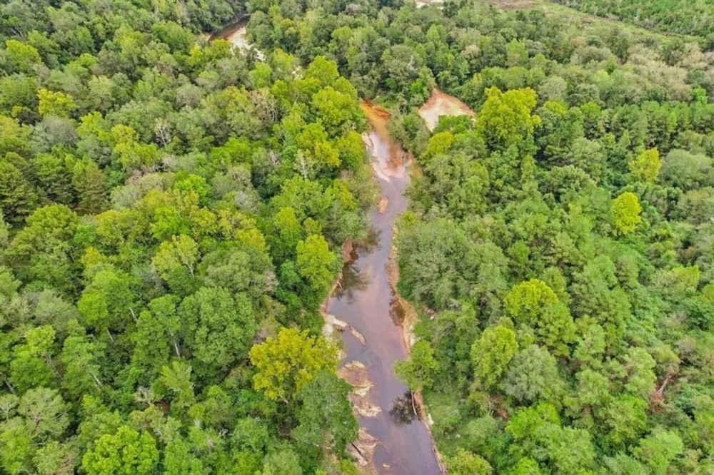 685 Acres Leaf Riverfront Land for Sale Covington Co. MS featured image