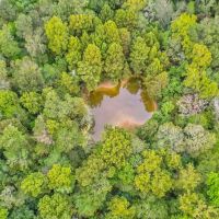 685 Acres Leaf Riverfront Land for Sale Covington Co. MS images 3