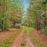 685 Acres Leaf Riverfront Land for Sale Covington Co. MS images 4