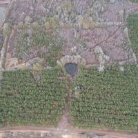 Hunting Land for Sale in Amite County images 3