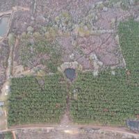 Hunting Land for Sale in Amite County images 5