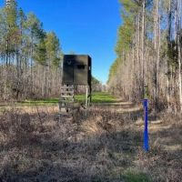 358 Acres For Sale in Madison County