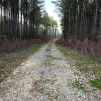 358 Acres For Sale in Madison County images 3