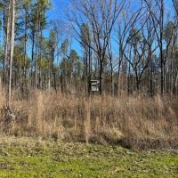 358 Acres For Sale in Madison County images 4