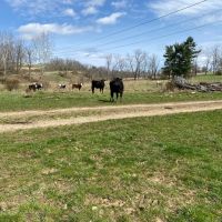 Pleasant View Farm images 3