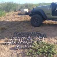 Falfurious Deer Lease with camp!!