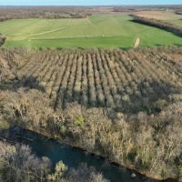 Hunting Tract With Spring River Frontage And Income Near Carthage images 3