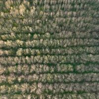 Hunting Tract With Spring River Frontage And Income Near Carthage images 4