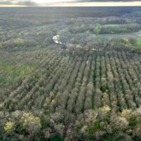 Hunting Tract With Spring River Frontage And Income Near Carthage images 5
