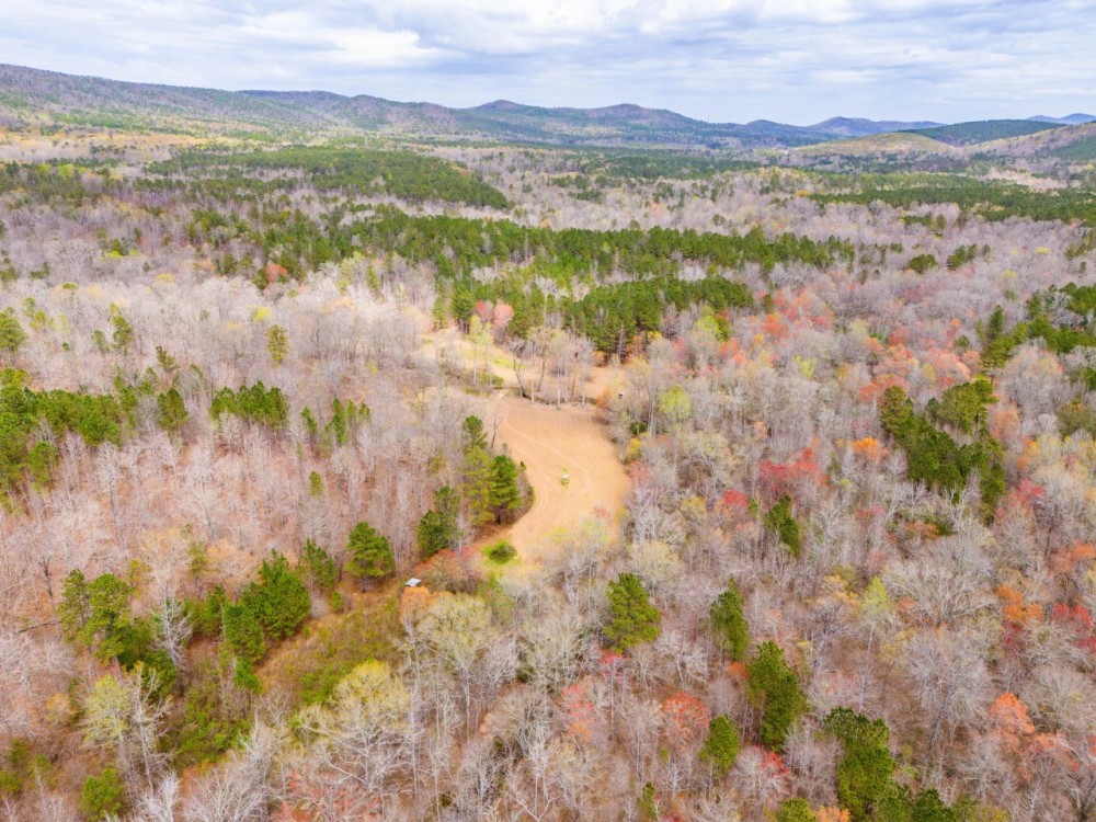 196 - Acres Clay Co Alabama featured image