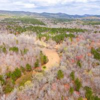 196 - Acres Clay Co Alabama
