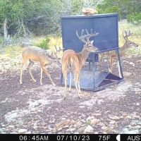 5A Ranch images 2