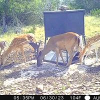 5A Ranch images 4