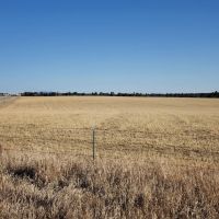 Sunny Divide Acreage images 4