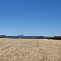 Sunny Divide Acreage images 5