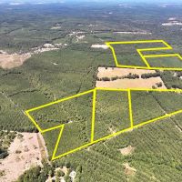 19 Acres T-12 Saron