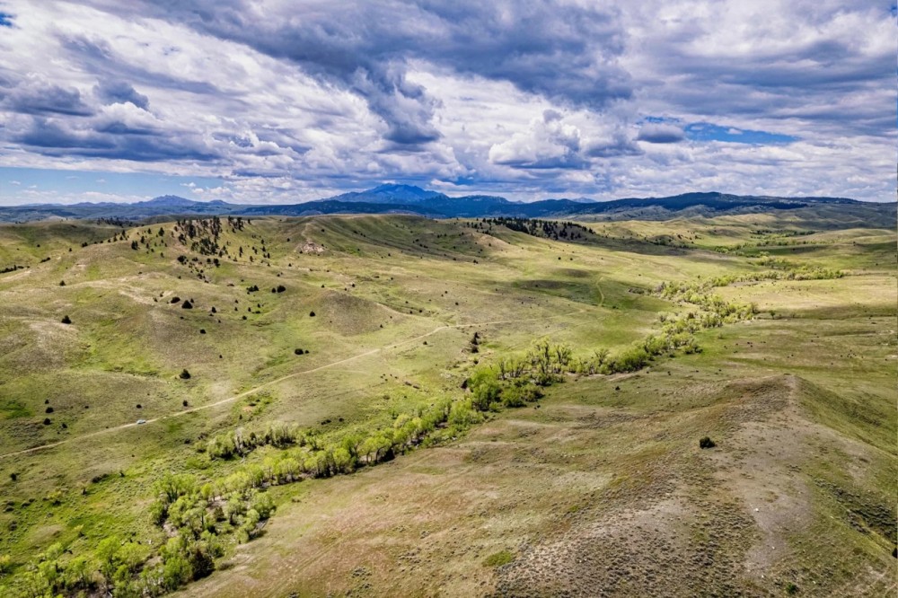 Coyote Creek Ranch featured image