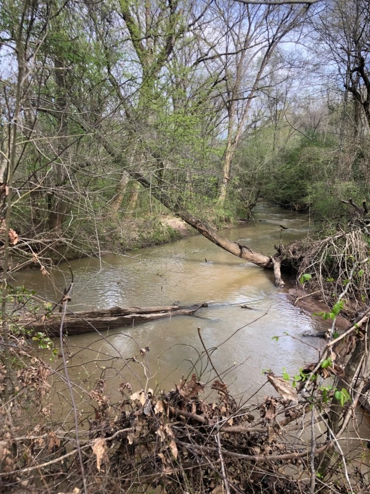 Crawford Co. 23 ac Julia Jordan Rd featured image