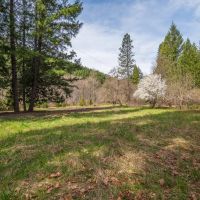 11950 SF Little Butte Creek Road images 3