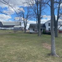 88 acres House with Barn Cabin and Creek in Hume NY 11078 Mills Mills Road