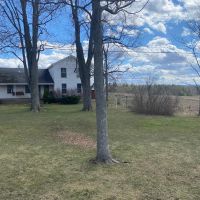 88 acres House with Barn Cabin and Creek in Hume NY 11078 Mills Mills Road images 3
