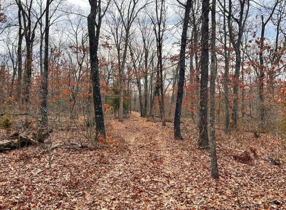 Smaller Timbered Tract With Proven Hunting Near Truman Lake In W. Central MO featured image