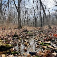 Smaller Timbered Tract With Proven Hunting Near Truman Lake In W. Central MO images 2