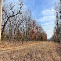 Smaller Timbered Tract With Proven Hunting Near Truman Lake In W. Central MO images 5