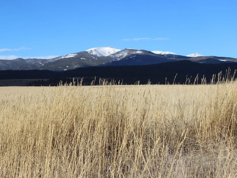 Tobacco Root Retreat featured image