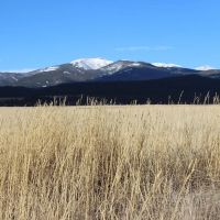 Tobacco Root Retreat