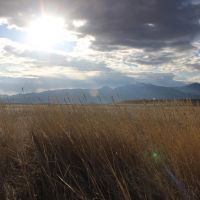 Tobacco Root Retreat images 2