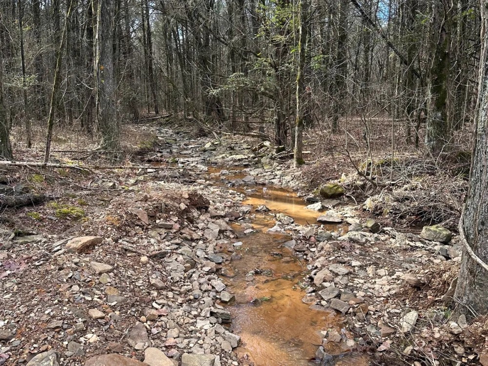 160 acre Hunting Recreation Timber Land featured image