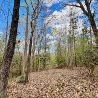 19 acres of Residential and Timberland Land For Sale in Warren County NC