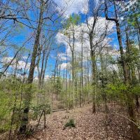 19 acres of Residential and Timberland Land For Sale in Warren County NC images 2