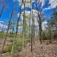 19 acres of Residential and Timberland Land For Sale in Warren County NC images 3
