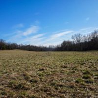 Combination Timber And Open Hunting Farm For Sale images 2