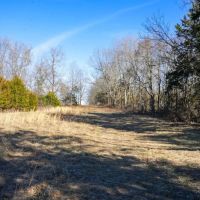 Combination Timber And Open Hunting Farm For Sale images 5