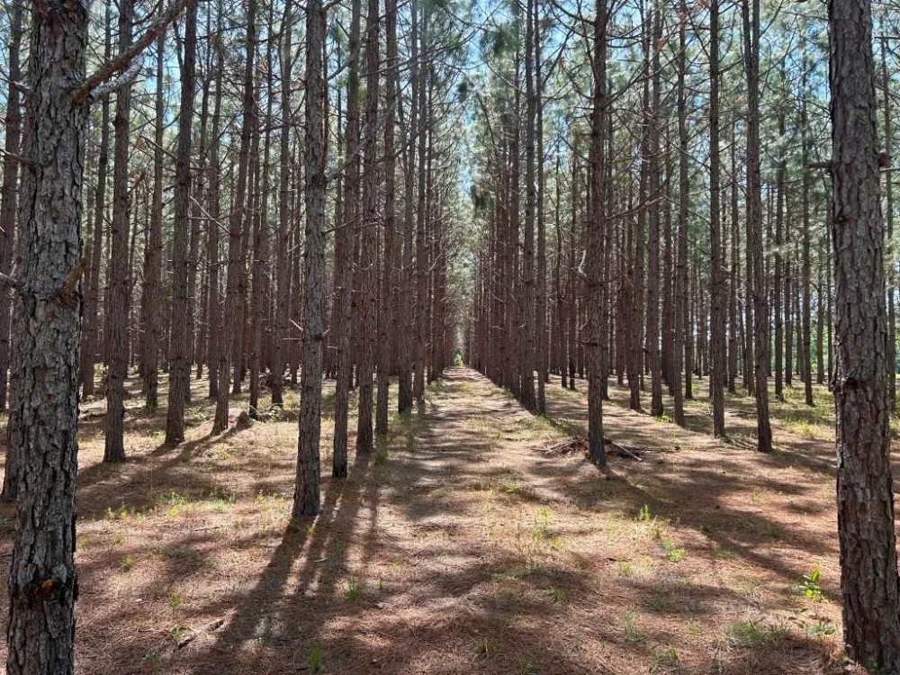 Old Happy Farm - Tract 2 featured image