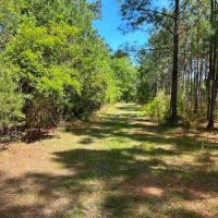 Old Happy Farm - Tract 2 images 2