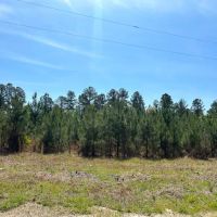 Old Happy Farm - Tract 2 images 4