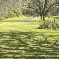 27.78 Acres with a Home in Claiborne County at 13137 Old Port Gibson Road in Utica MS images 5