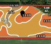 40 Acres Irrigated Farmland With Development Potential images 4