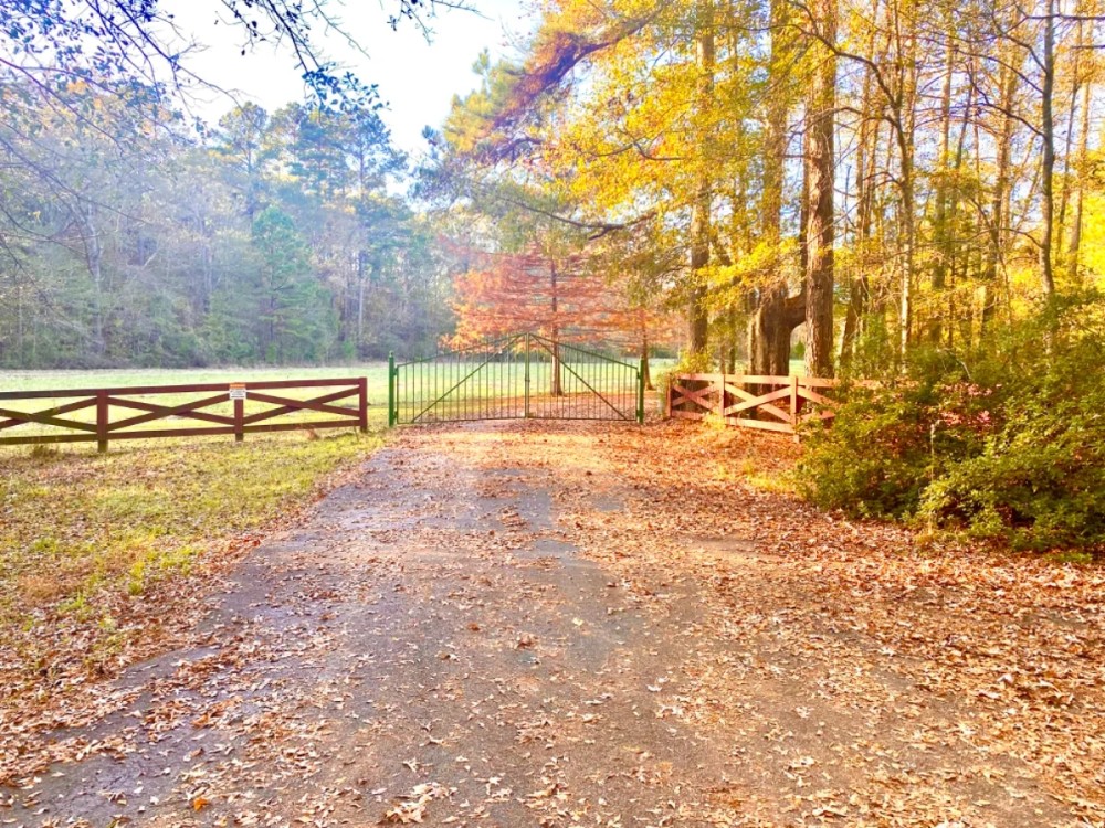16 Private Acres Nestled in the Mississippi Woods featured image