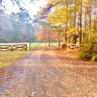 16 Private Acres Nestled in the Mississippi Woods