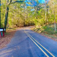 16 Private Acres Nestled in the Mississippi Woods images 5
