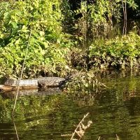 LA - Union 343 acres - images 2