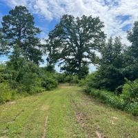 LA - Union 343 acres - images 5